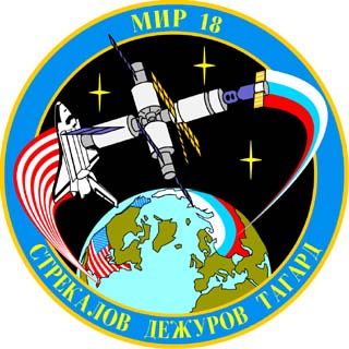 Mir-18 patch